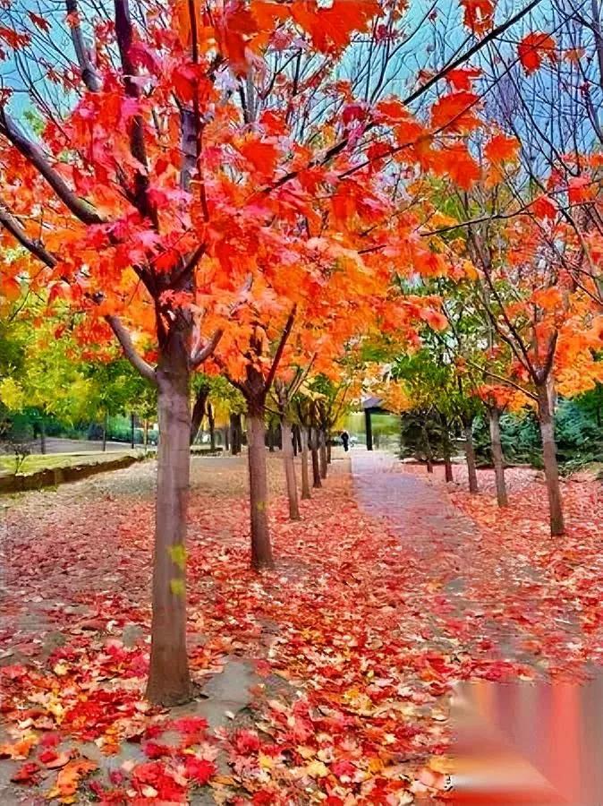 你有没有发现——越长大越觉得，那些“不耍滑头”的人，才是生活里的“隐形福