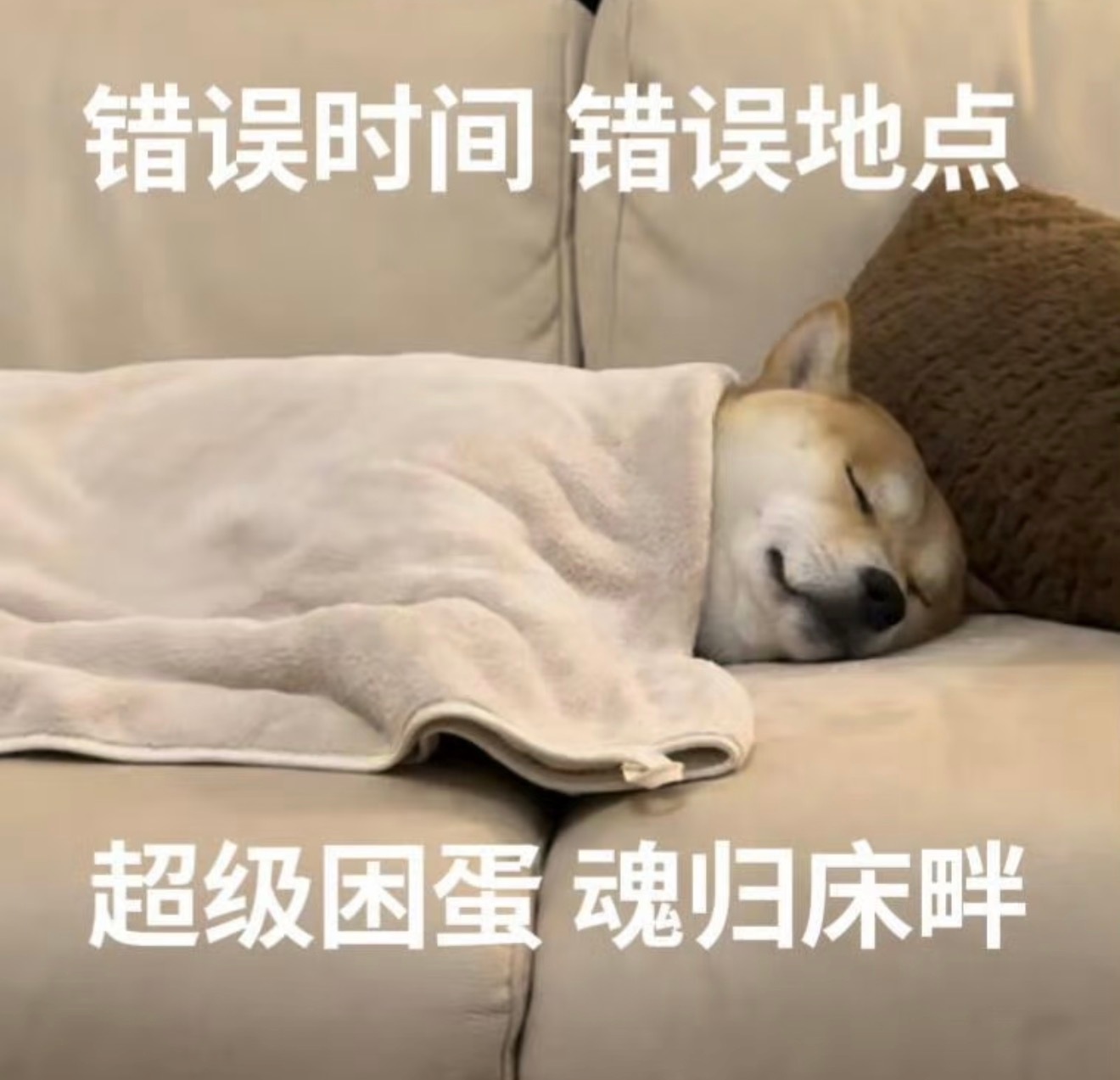 我基本上每天都是11-12点睡觉，早晨6点左右起床。睡眠时间大概7小时左右，每次