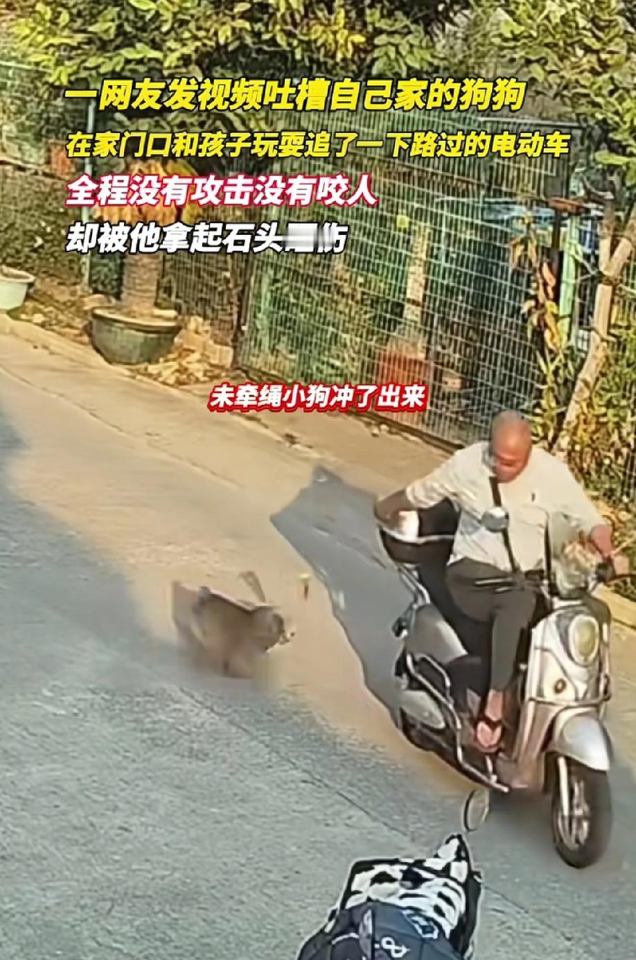 2月22日，福建泉州。网友发视频吐槽：我家的小狗只是在家门口和孩子玩耍，就追了一