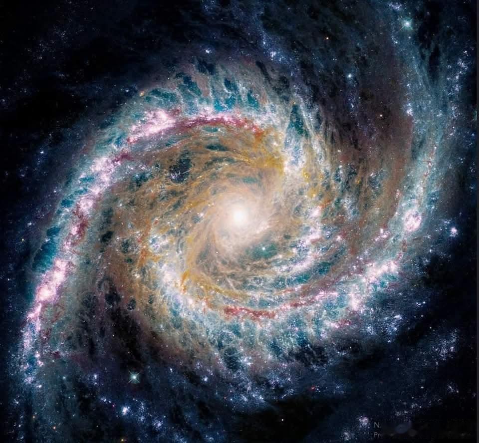 NGC1566不只是静静地待在南天——它在表演。大约6900万光年外，在