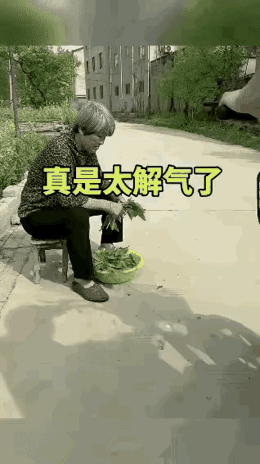 坏人还需恶人治