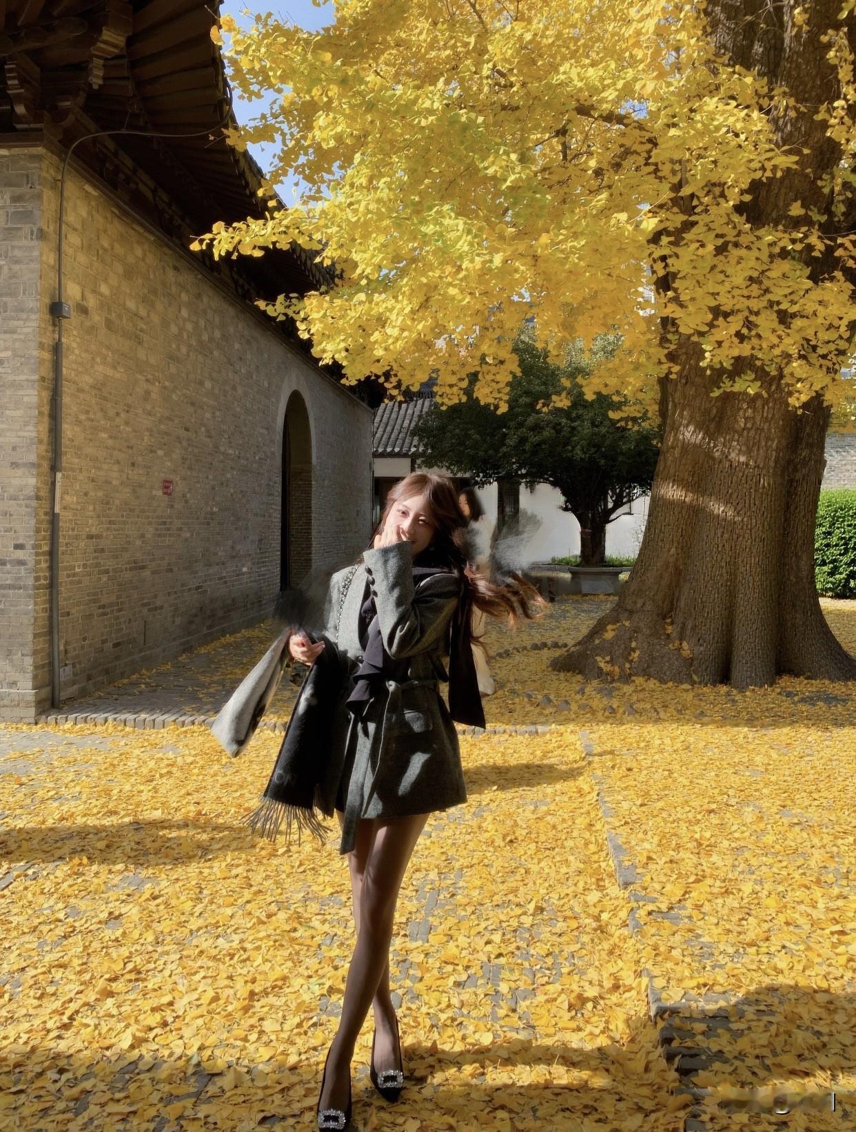 每天美丽照片分享秋叶落满地，美人倚树思。