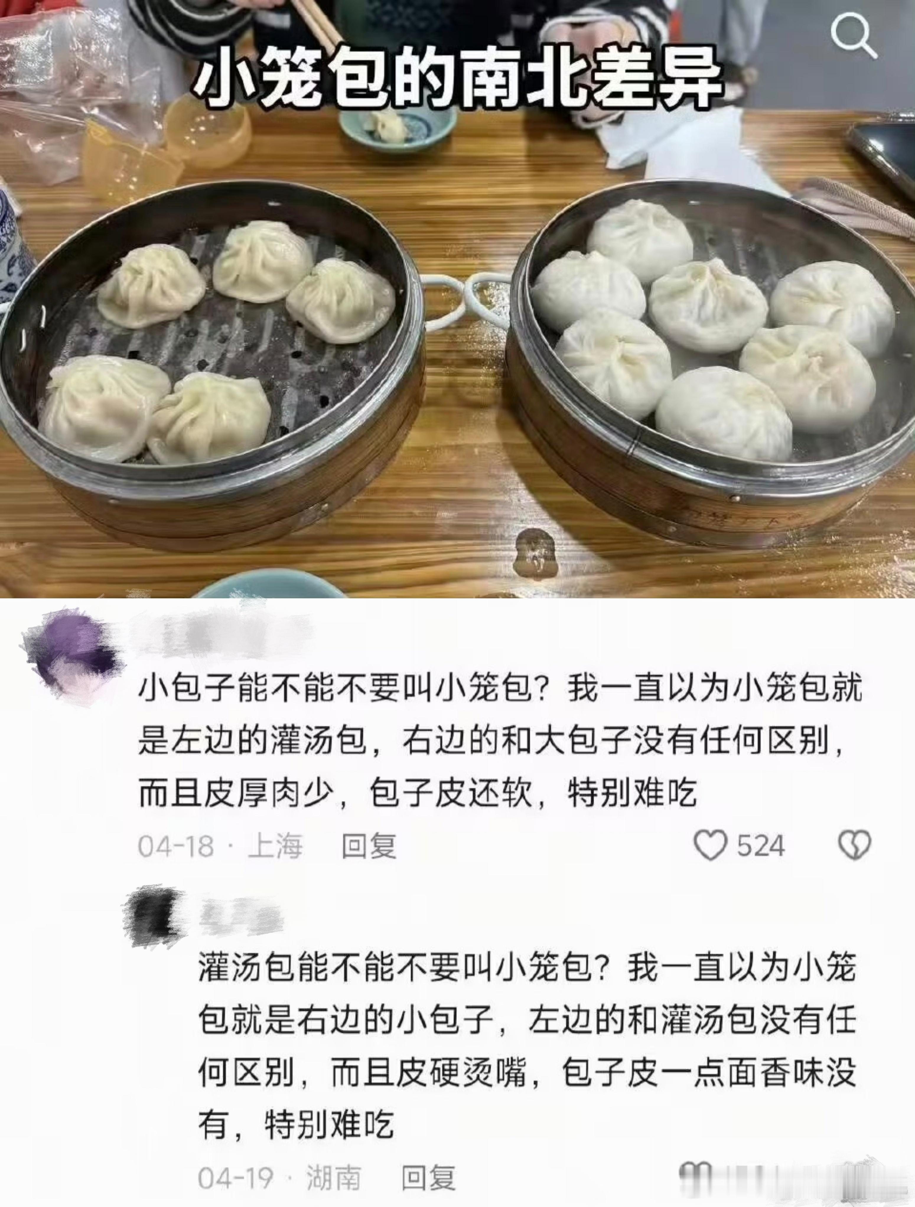 正方辩手：小包子能不能不要叫小笼包？灌汤包才是小笼包！反方辩手：灌汤包能不能不要