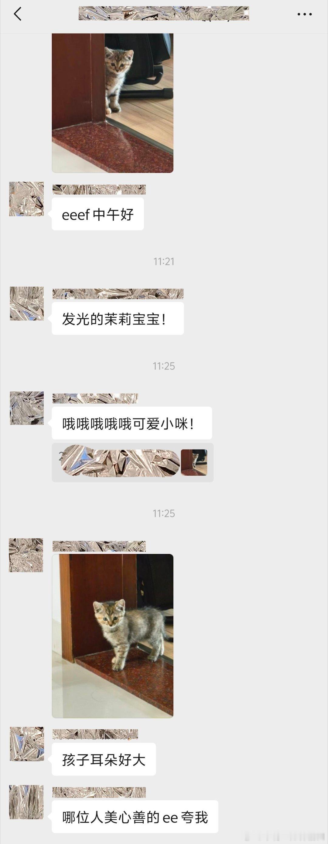 是的，我们养猫人晒猫就像晒娃动不动就晒，还互相吹捧