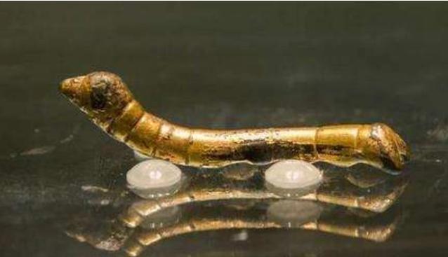 1984年，陕西一小孩在河滩边玩耍，突然捡到一只金光闪闪的小虫子，觉得好玩便放进