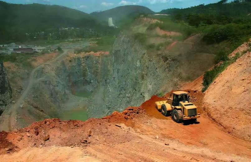 植物采矿时代降临！中国发明稀土种植术，白宫连夜召开危机会议在江西某处的试验田