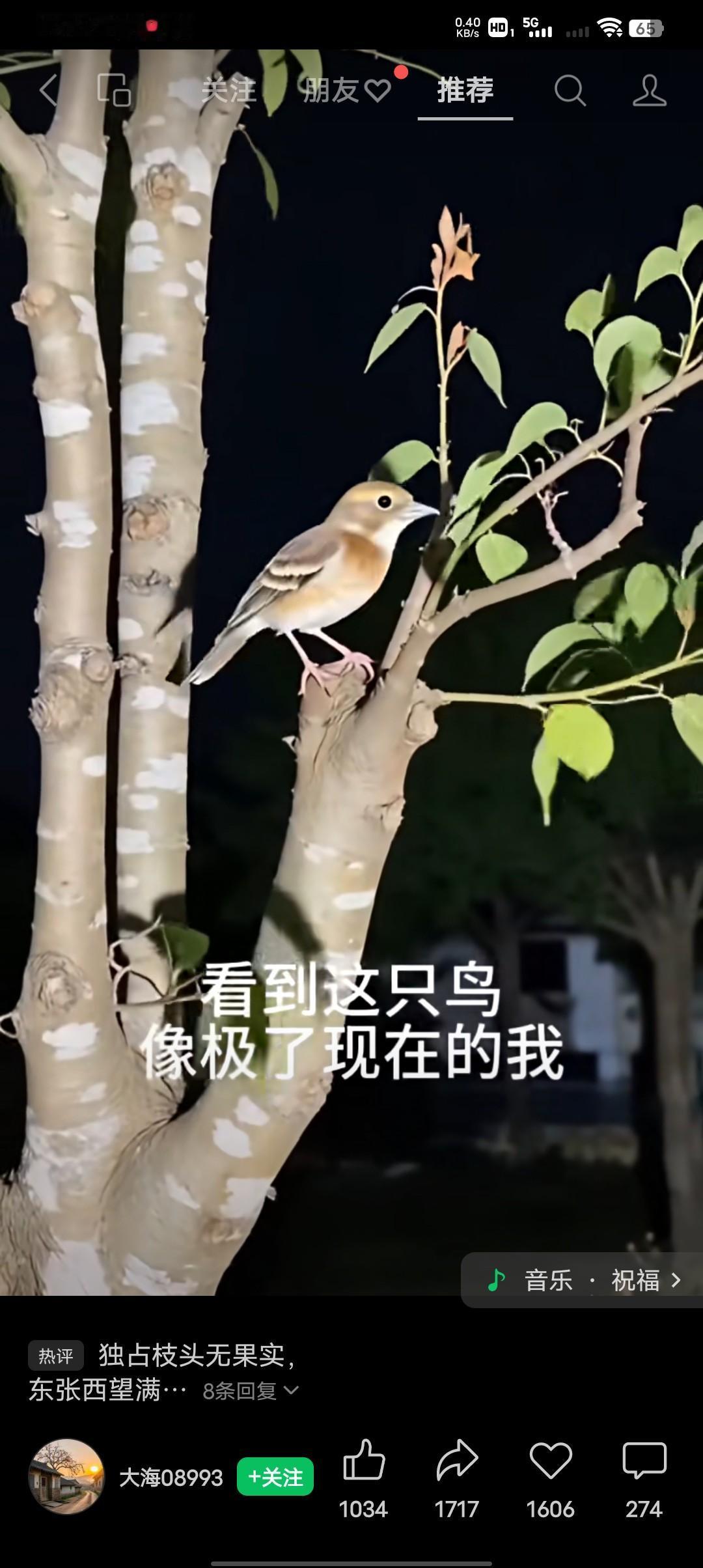 有人说，人生其实挺简单的，无非就是为了两件事吃和住，所谓吃就是一日三餐，住就是能