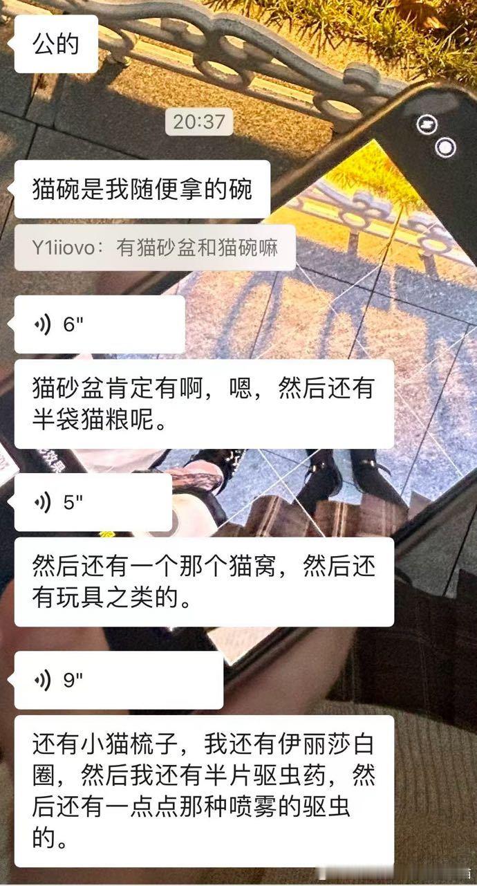 广州领养❤️广东领养广州同城找领养两个月大的小公橘猫猫砂盆驱虫药小玩具猫窝都