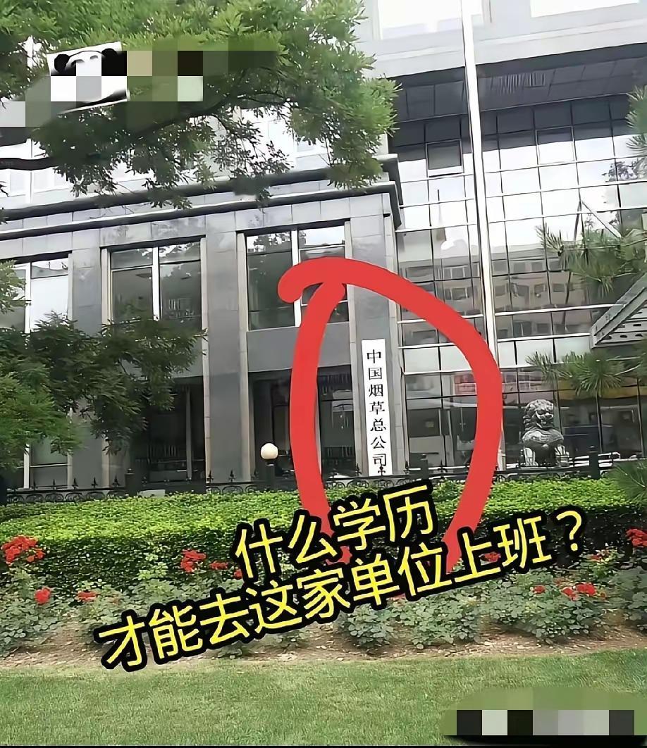 是门阀世家，还是211，985。