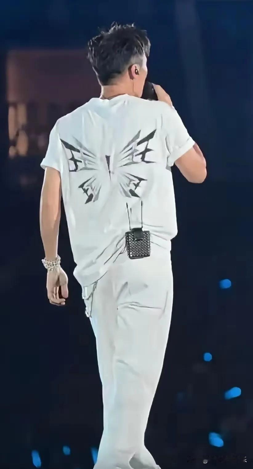 谢霆锋演唱会上穿的衣服写了很多王，远远看上去是个蝴蝶，蝴蝶会飞，王菲。衣服设