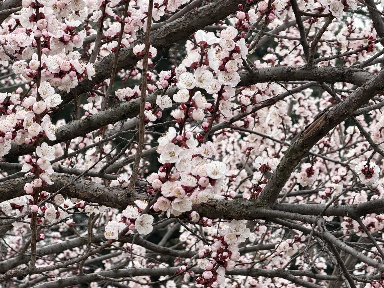 诊断：社会得了什么病？•信息不对称病：家长、学生对专业、就业、未来完全盲区