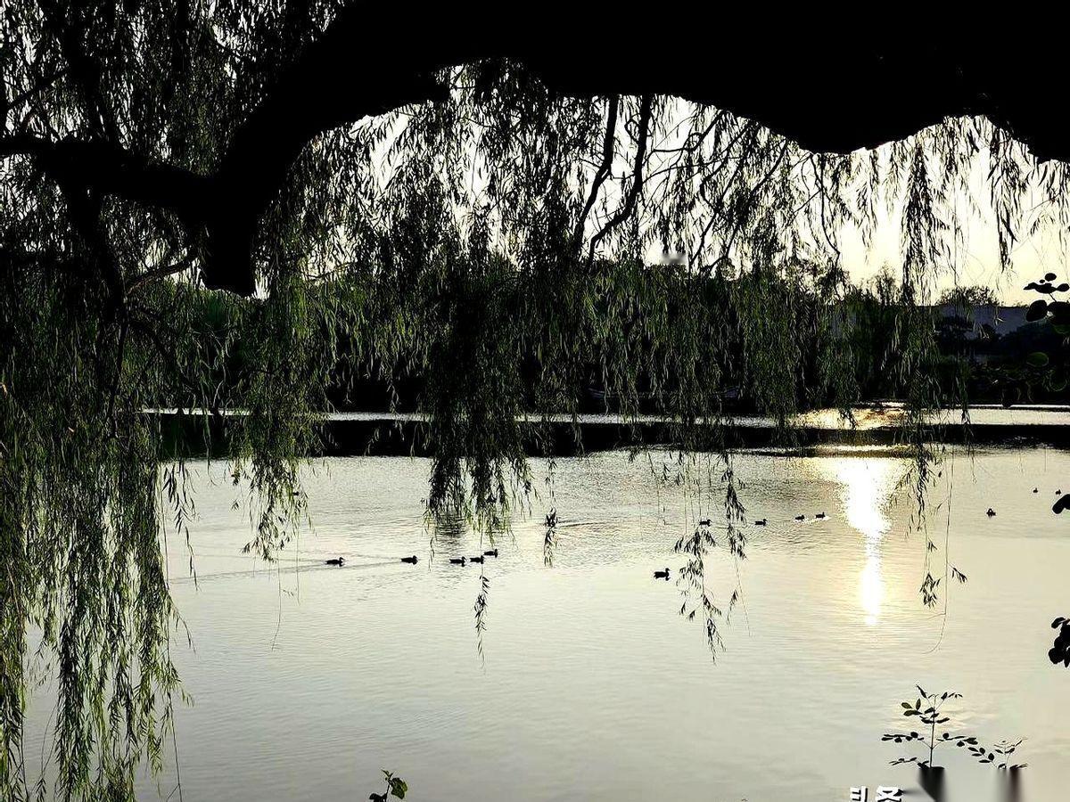 我跟你说，退休后活得最明白、最招人羡慕的那帮人，根本不是天天含饴弄孙、养花遛鸟的