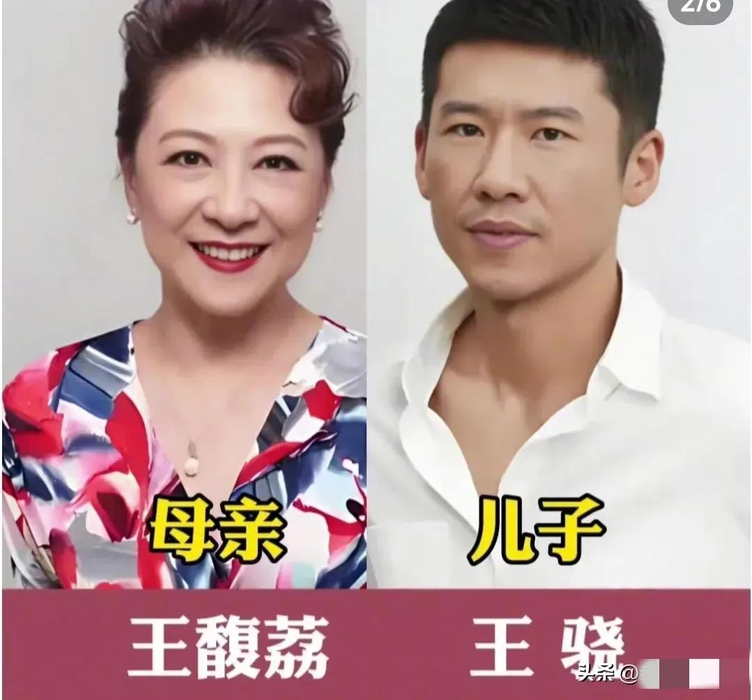 有一位能干的儿子妈妈好幸福—王馥荔有一位能干的儿子妈妈好幸福—斯琴高娃有一位