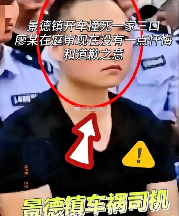景德镇车祸肇事司机家人的“找死”言论。景德镇车祸儿子撞死一家三口，家人不但不内