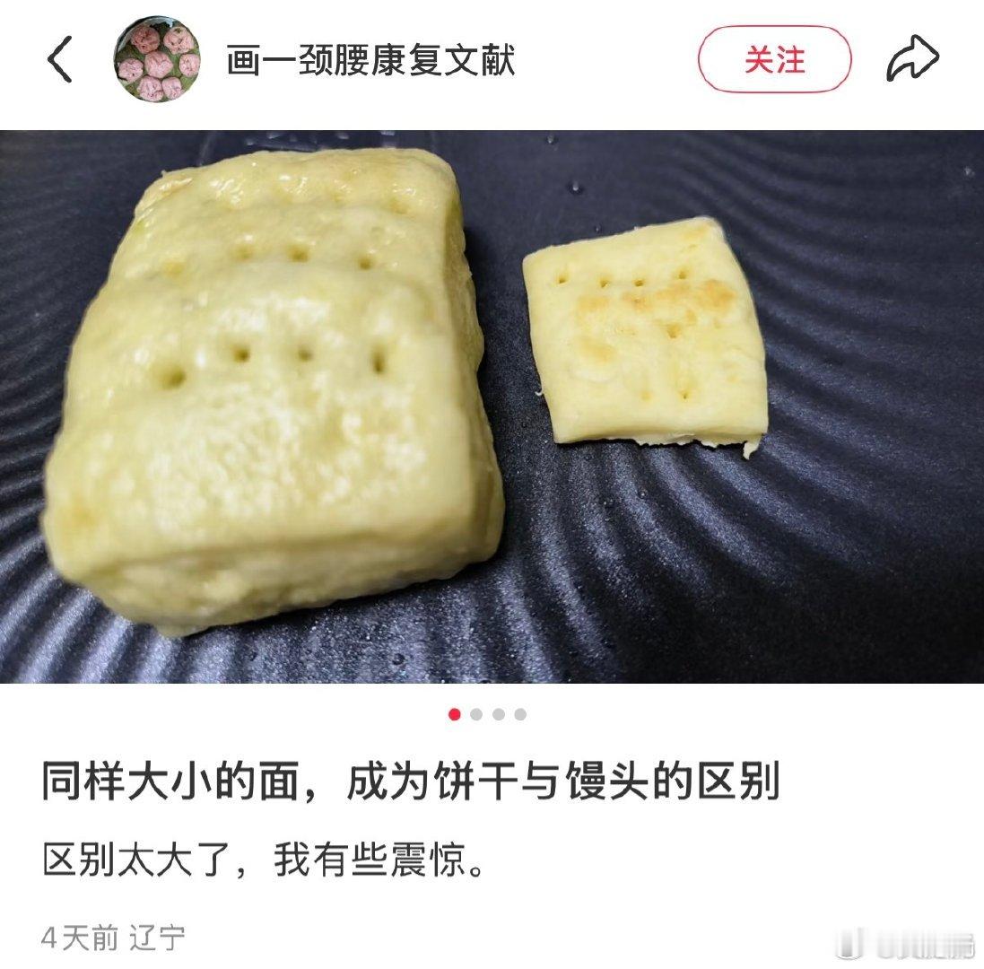 馒头性价比之王，也就是说，我饿急了还不如吃两个大馒头，因为馒头缩小之后跟饼干没