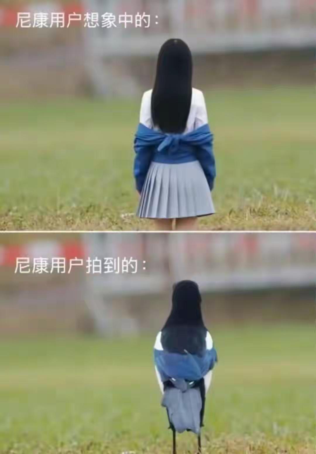 好家伙，是这样的吗[捂脸哭]