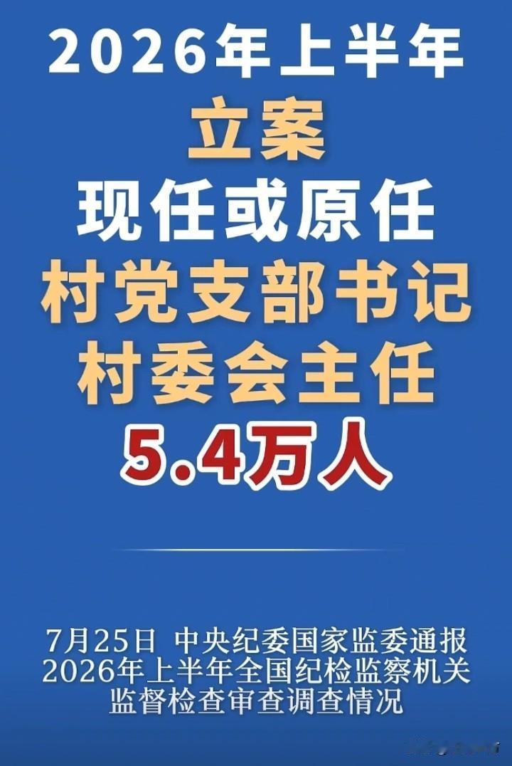 紧盯基层“蝇贪蚁腐”，守护群众身边利益——解读2026上半年查处村支书、村主任5