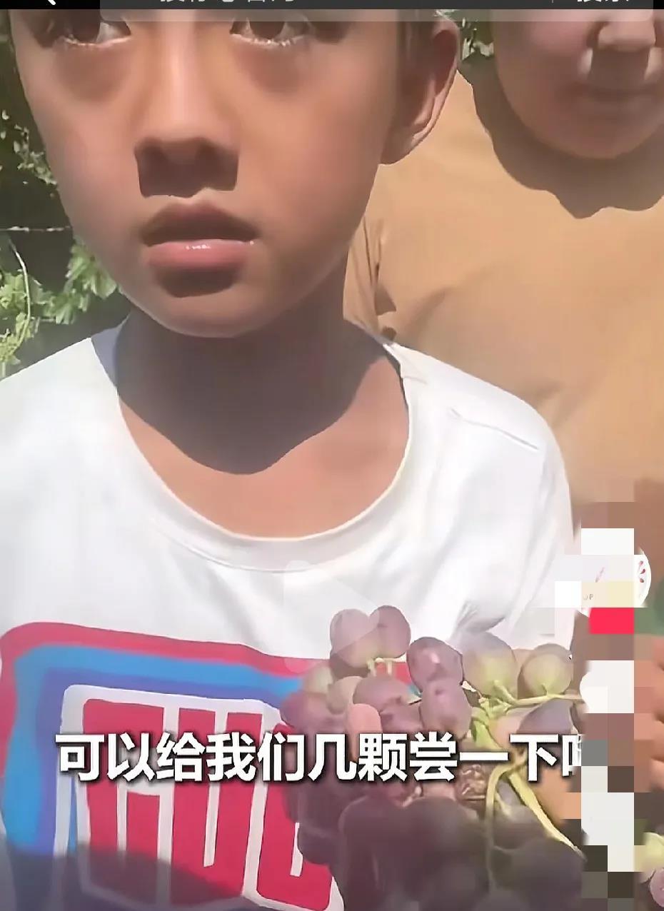 新疆文旅一觉醒来天“塌”了几个新疆小孩在路边，和自驾游的游客发生的暖心一幕，