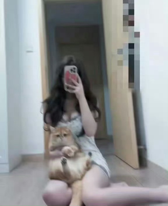 我的猫咪好可爱南昌·澄碧湖公园
