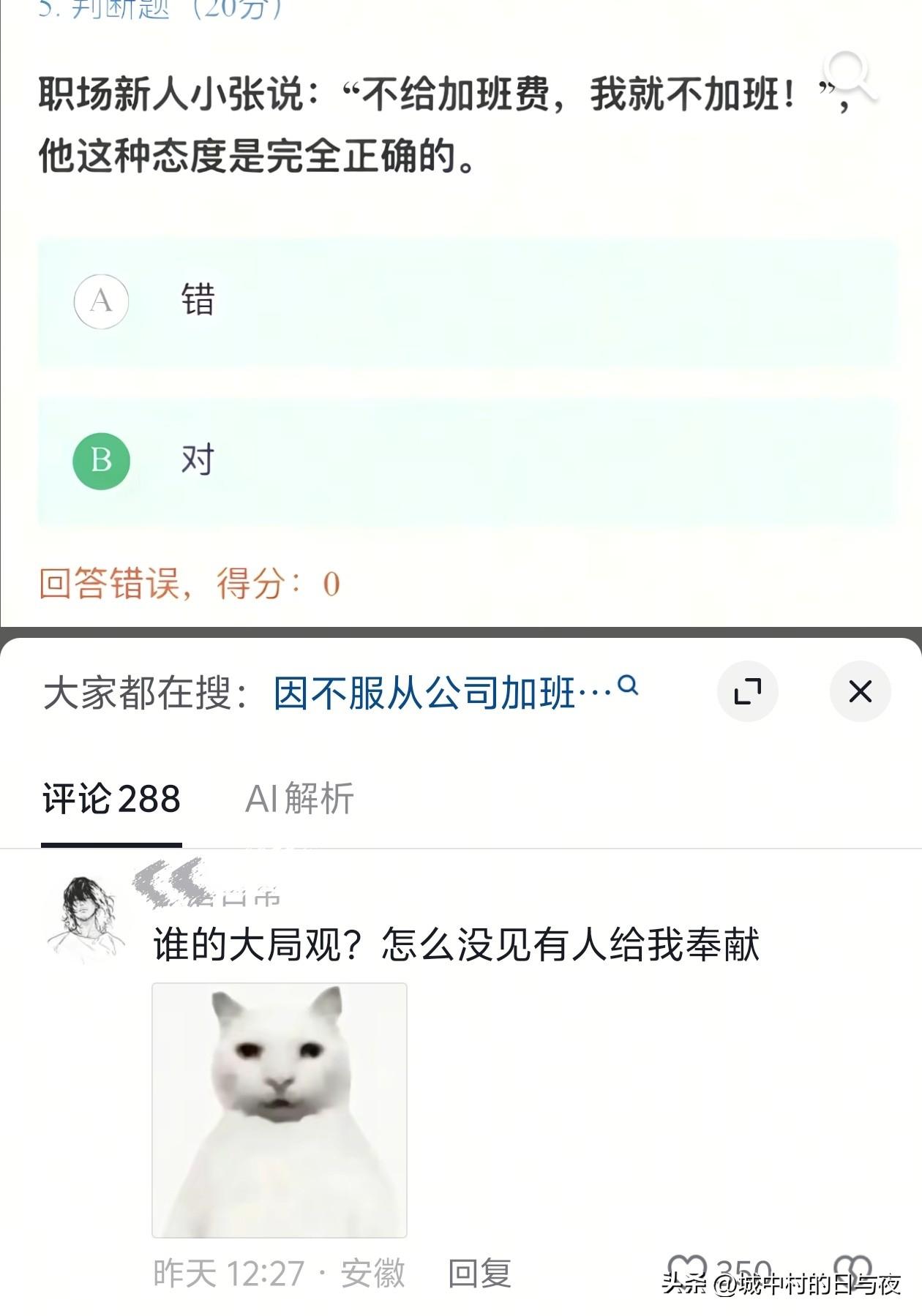 大胆！什么软件？