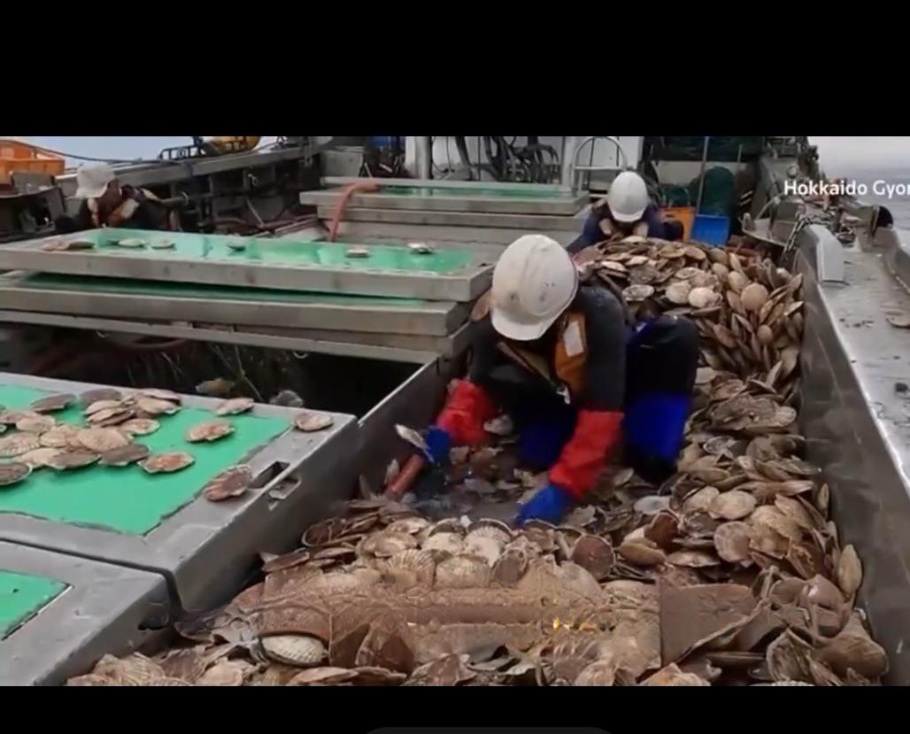 警惕！日本核区水产正悄悄潜入你家餐桌