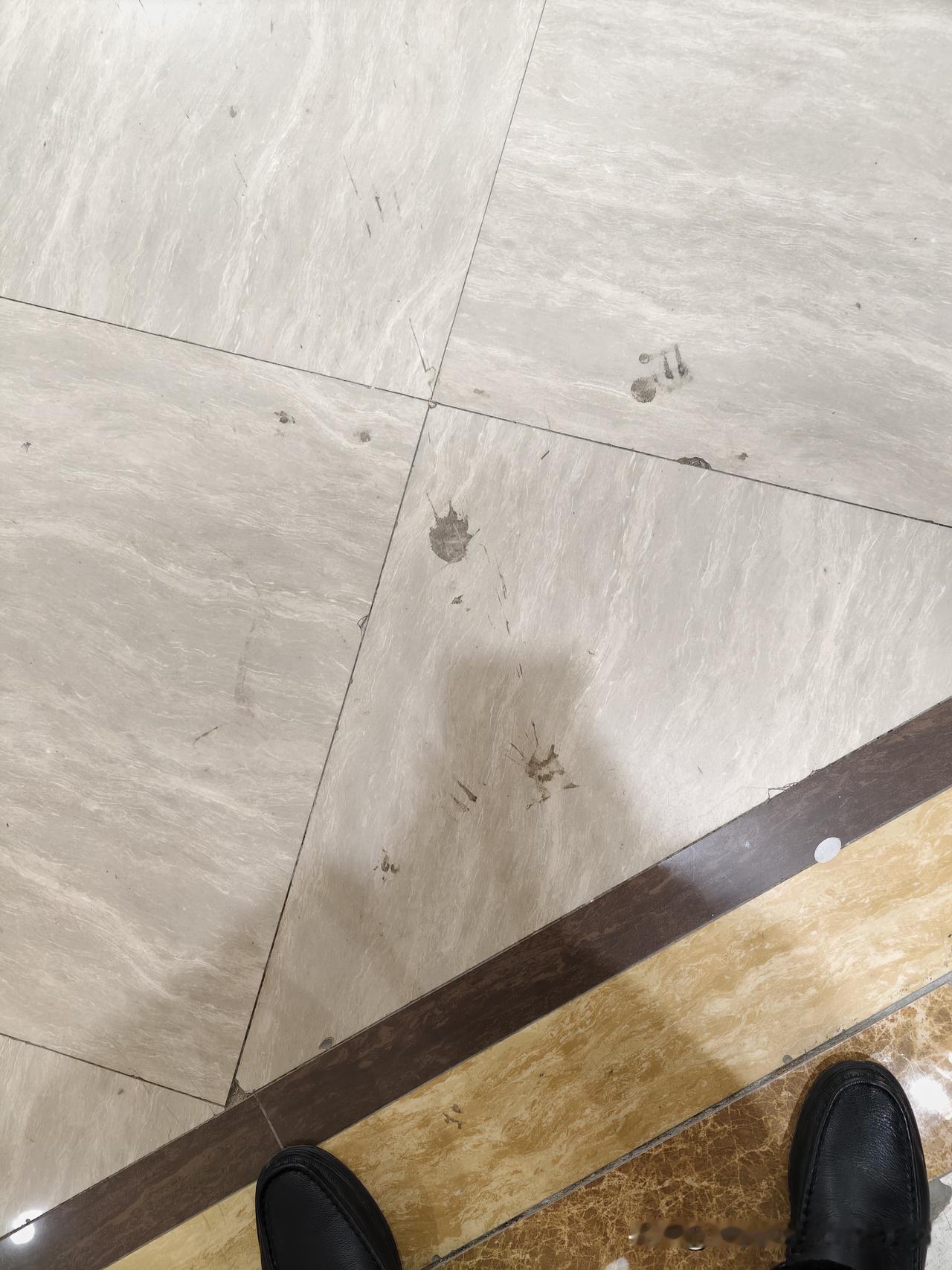 今天是金碧物业走后的第92天。今天在电梯里面发现了有人嗑瓜子抛下的瓜子壳，还