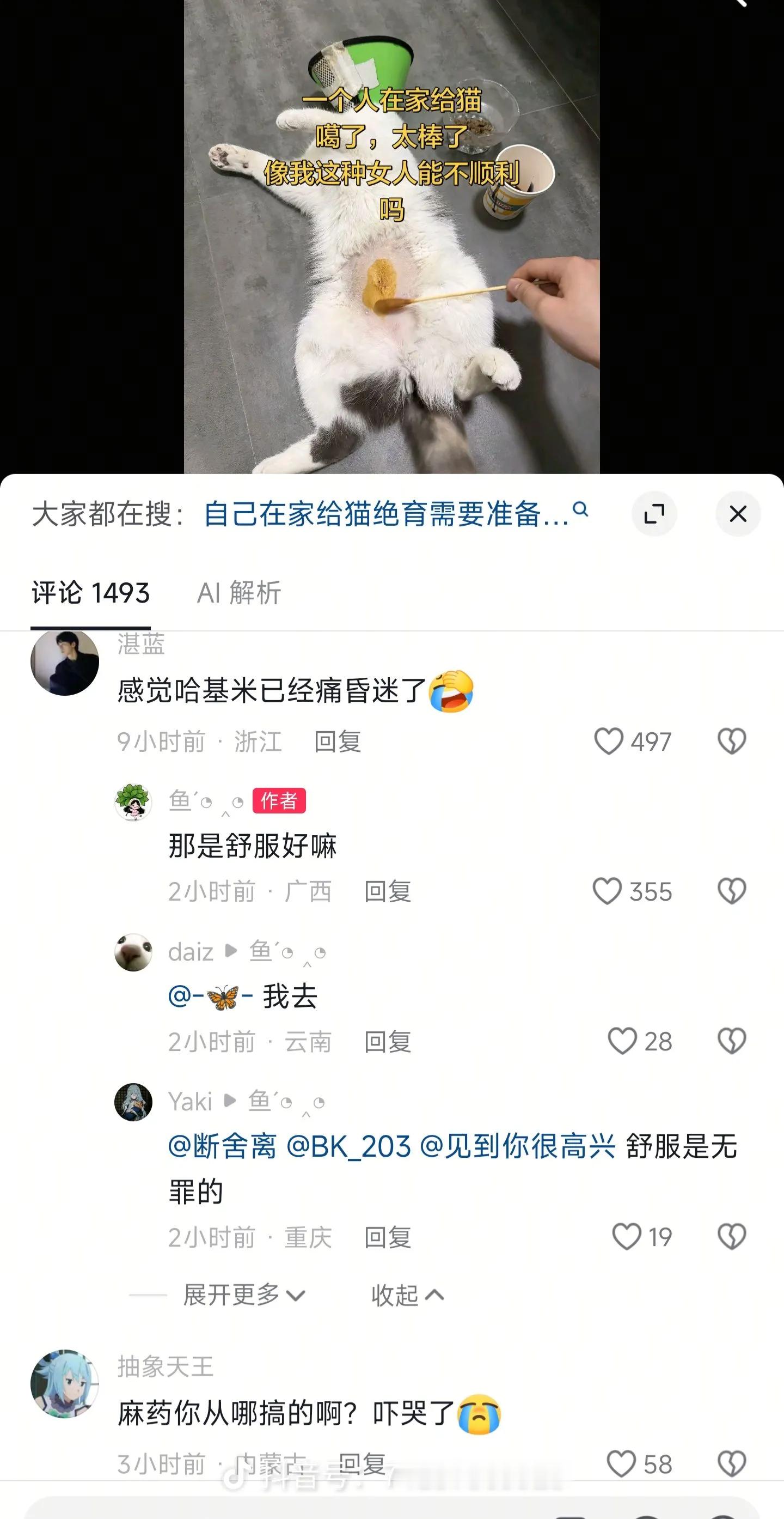 略猫区绞尽脑汁不如爱猫人士灵机一动