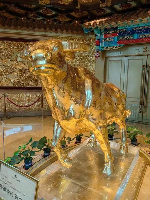 这波黄金牛市真的要见顶了吗？金价突破4800美元：一场席卷全球的“信用对冲”，与