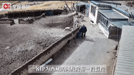 电视剧都不敢这么演！”近日，西藏，一位大爷回家的途中，突然被一条黑色的恶犬袭击，
