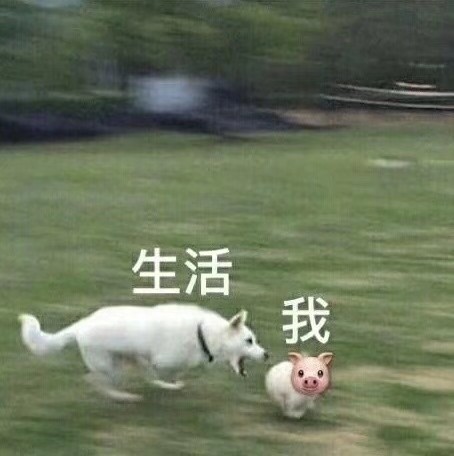 谁教的商家用芥末酱冒充山葵酱我本欲幸福的享用夜宵结果吃了一大口之后现在流着泪