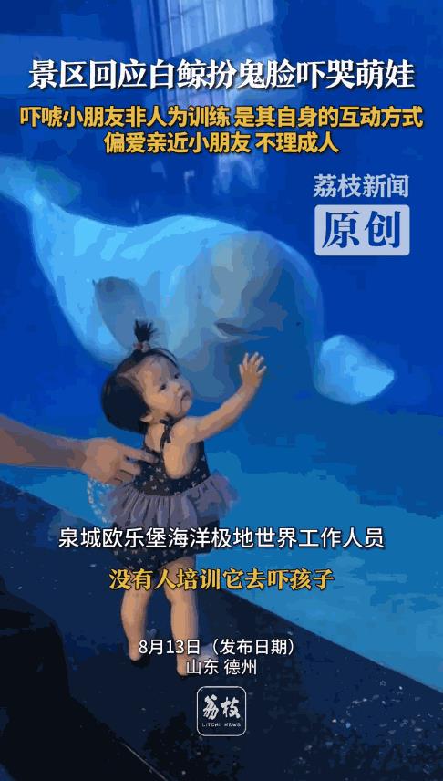 “一看就是惯犯！”山东德州，家长带着女儿去游乐园看白鲸，女孩和白鲸互动时，白鲸好