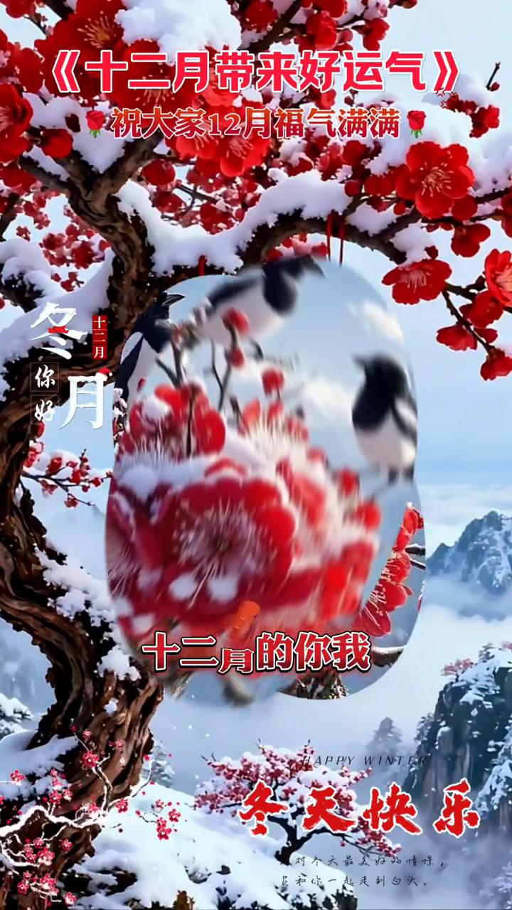 《十二月带来好运气》。祝大家十二月福气满满，冬天快乐。十二月的我们心情好美丽，