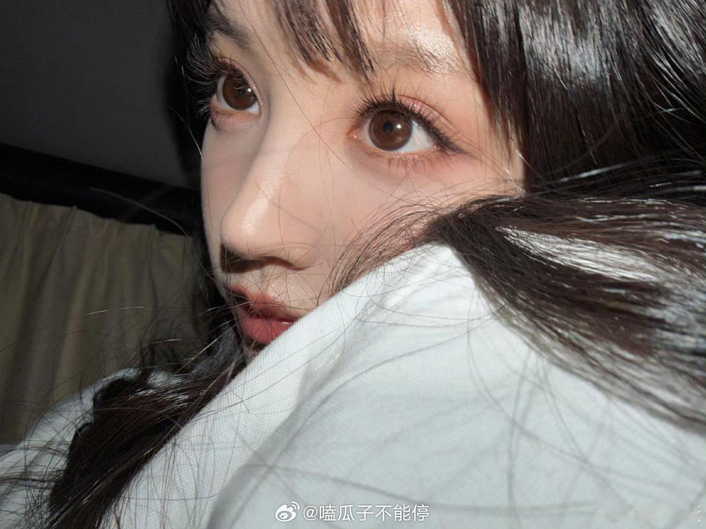 田曦薇人猫plog这个猫塑太美啦田曦薇