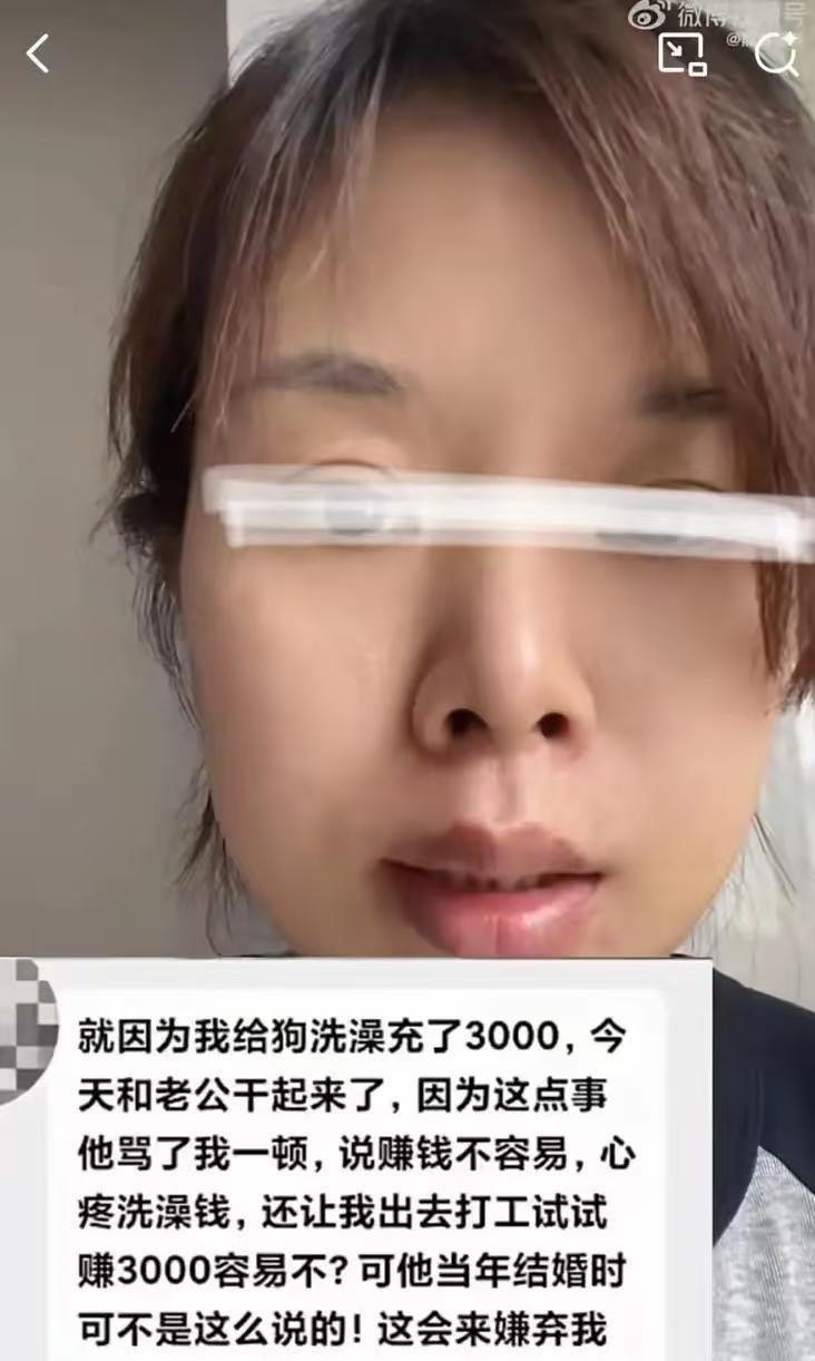 女子给狗充了3000元洗澡卡，丈夫知道后大发雷霆，说女子败家，对狗都比对他好！而