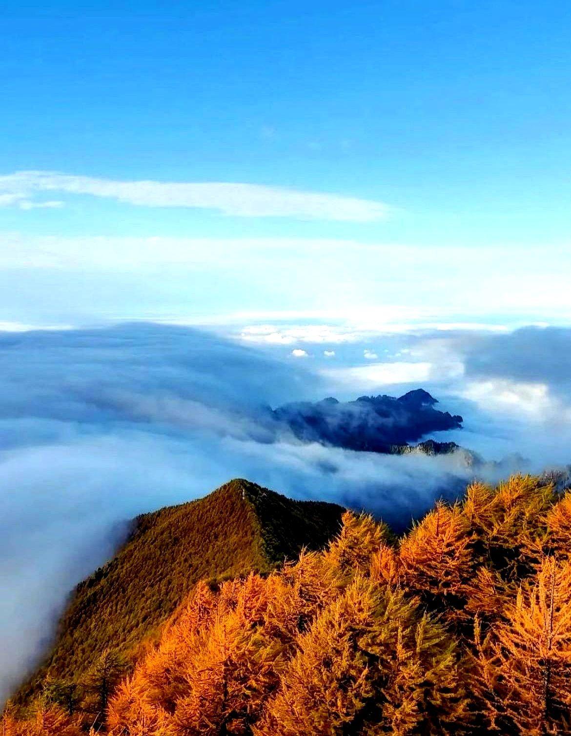 “你连五分钟都坚持不下？”昨晚，小区群里有人甩出这句话，配图是自家娃靠墙蹲得龇牙