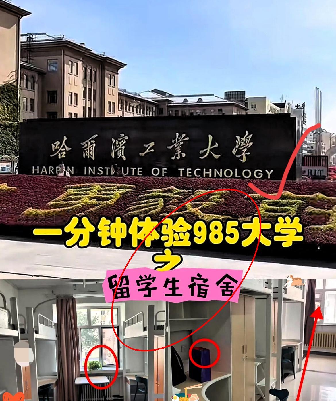 刚查了下哈工大见过太多高校为了国际排名，给留学生配豪华宿舍、开中文速成班，考试