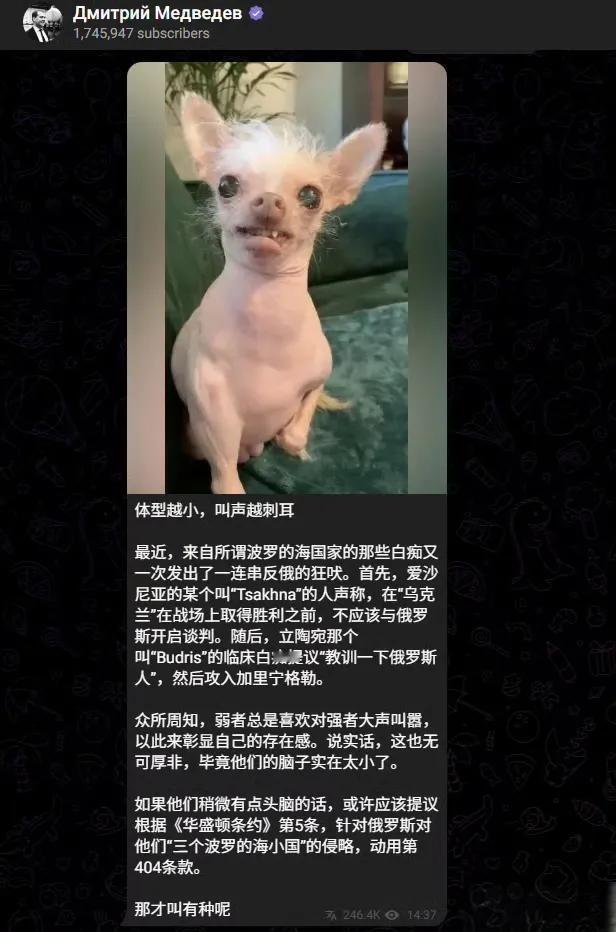梅德韦杰夫这几年嘴炮功夫练下来，现在是炉火纯青。对波罗的海三国，梅德韦杰夫是一点