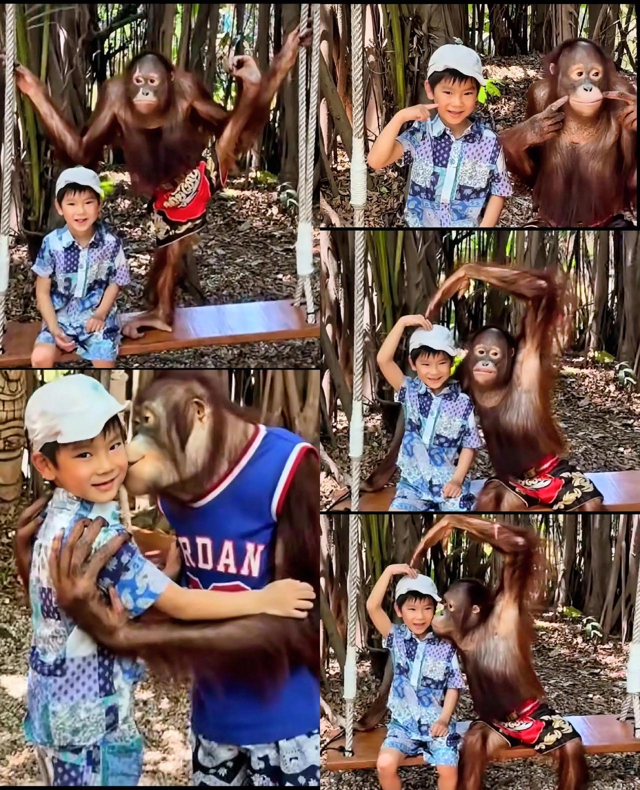 海螺🐚：梁二宝在吗？给给给给在吗在吗