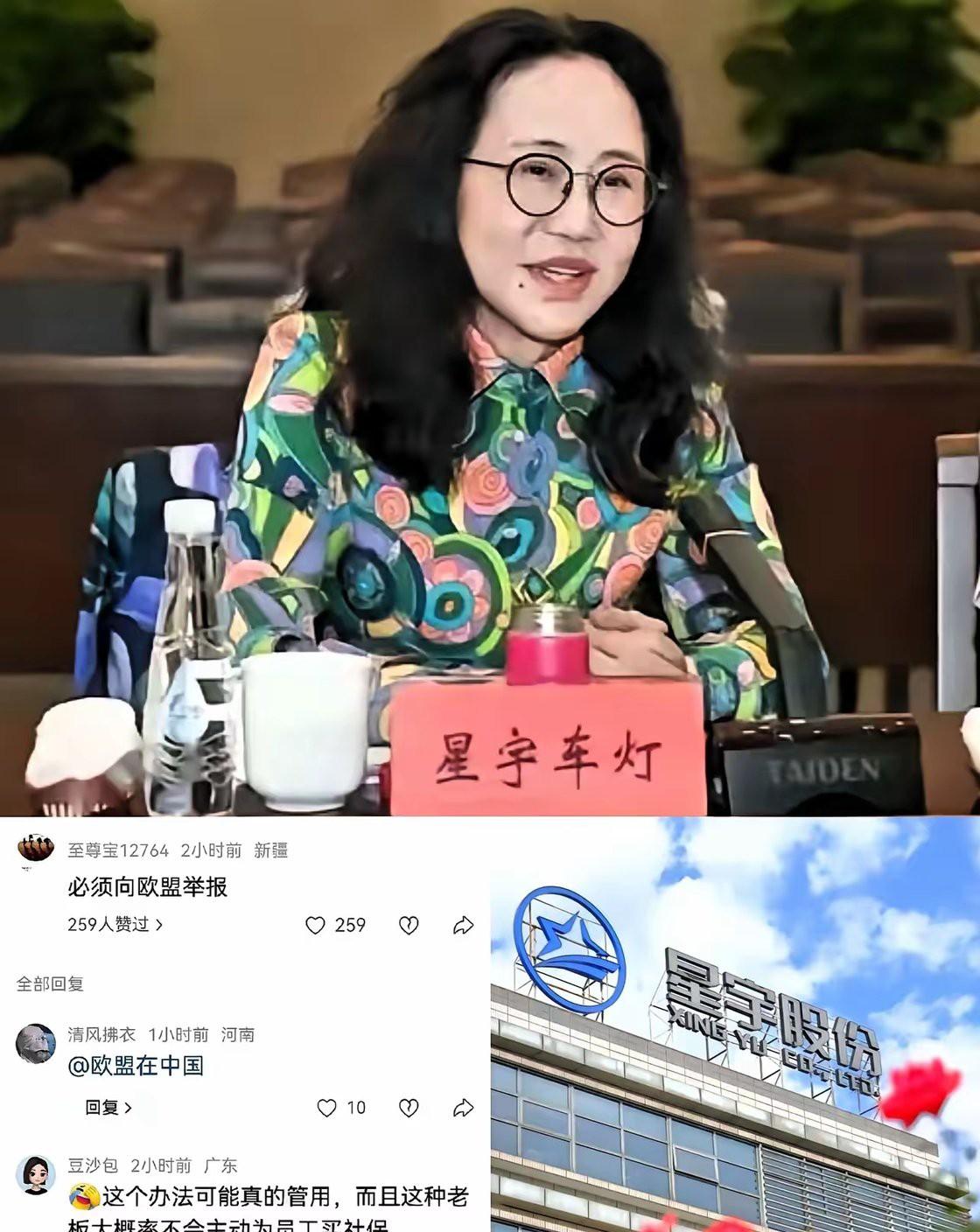 这帮孩子太狠了。不排队、不拉横幅、不哭诉——直接抄起欧盟法规，翻出德系车企的E