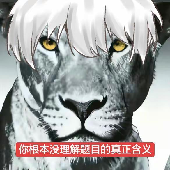 大半夜笑的想死。猎奇抽象日系丸子头扎法潮流视频