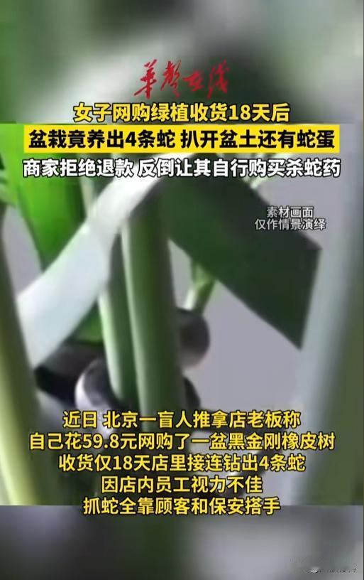 “太吓人了！”近日，北京，一盲人按摩店老板在网上购买了一盆绿植，结果到店后十几天