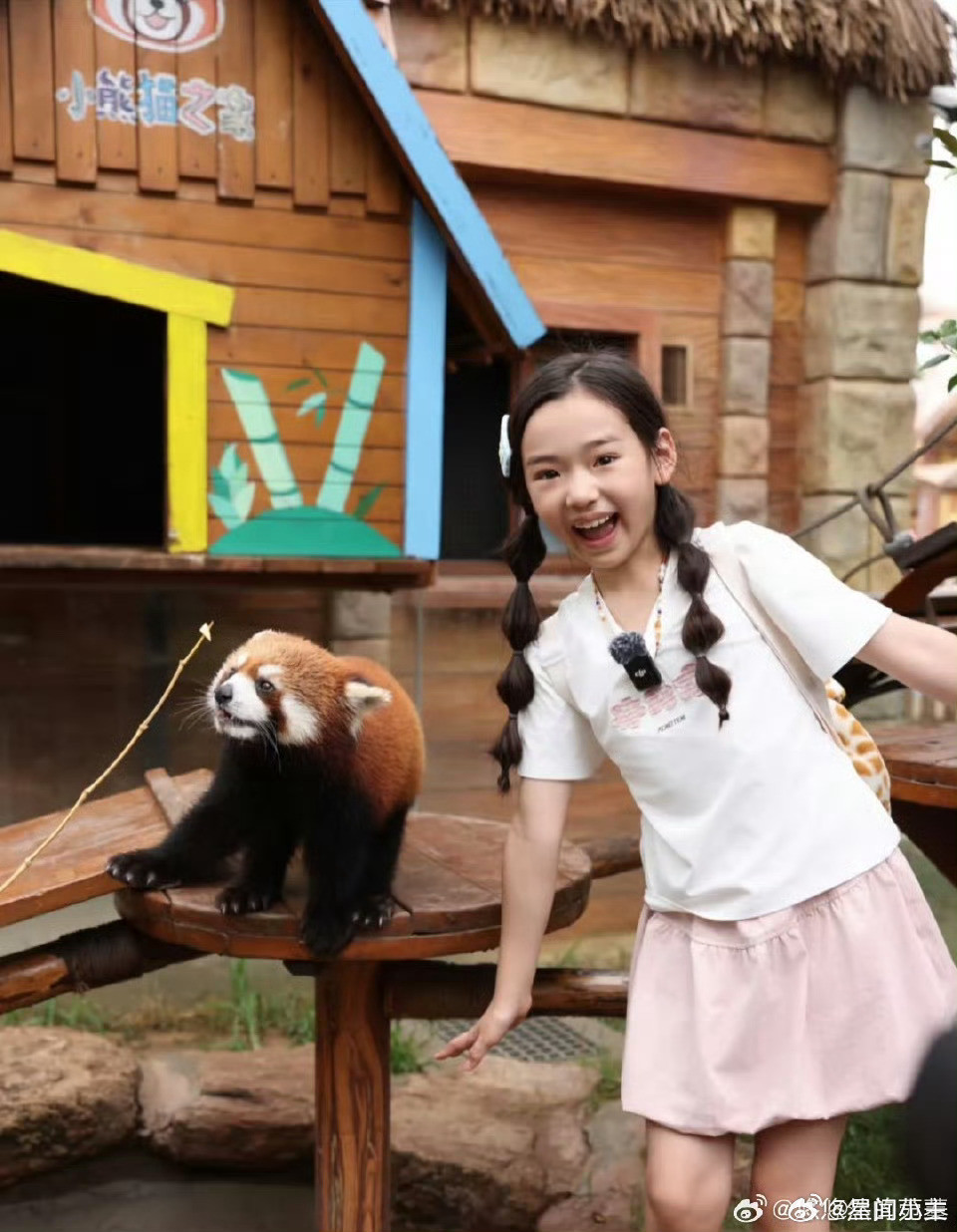 董璇曝小酒窝请假理由是妈妈结婚，感觉小酒窝以为可能会进娱乐圈，娱乐圈好赚钱，她妈