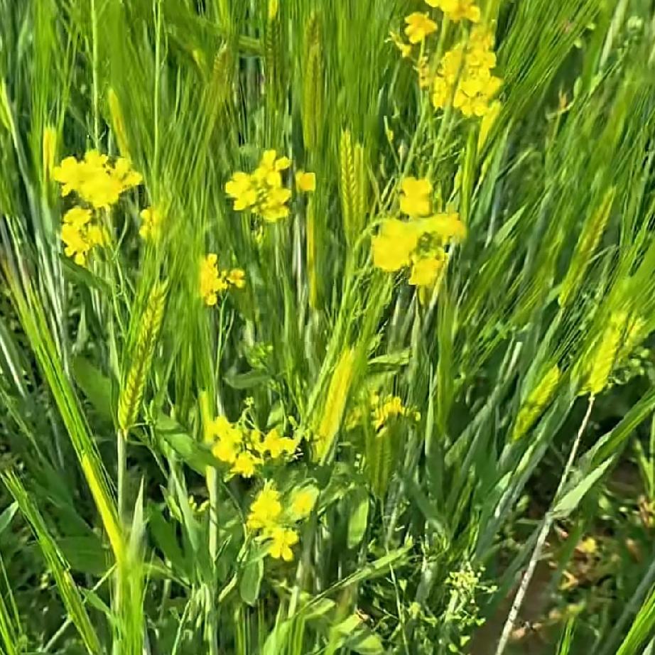 当一个人不联系你的时候，你应该怎么做呢？有的人会觉得他不联系我，我就不能联系他