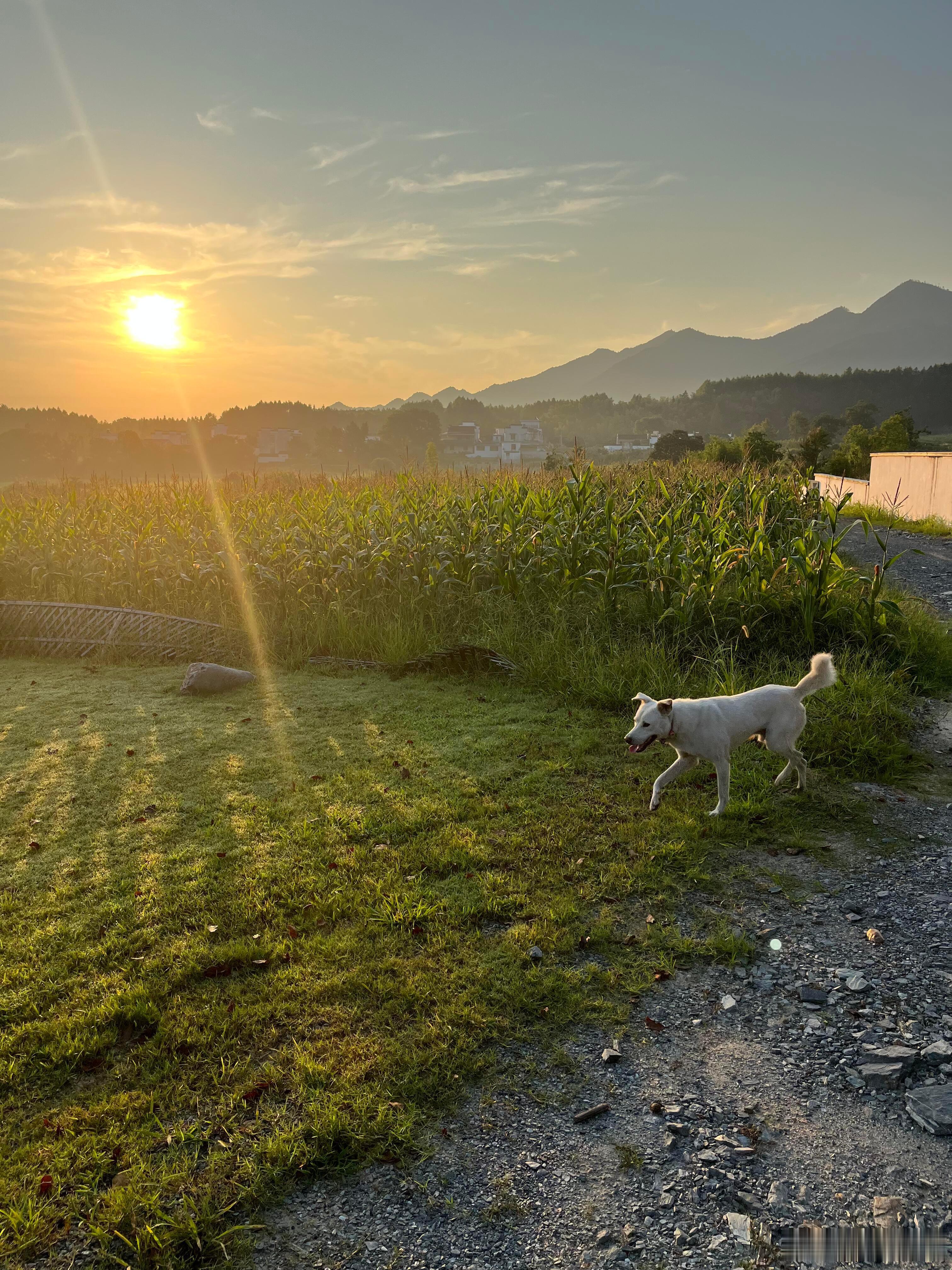 早呀~收割一波美好小伙伴们，中秋都怎么过呢？​​​