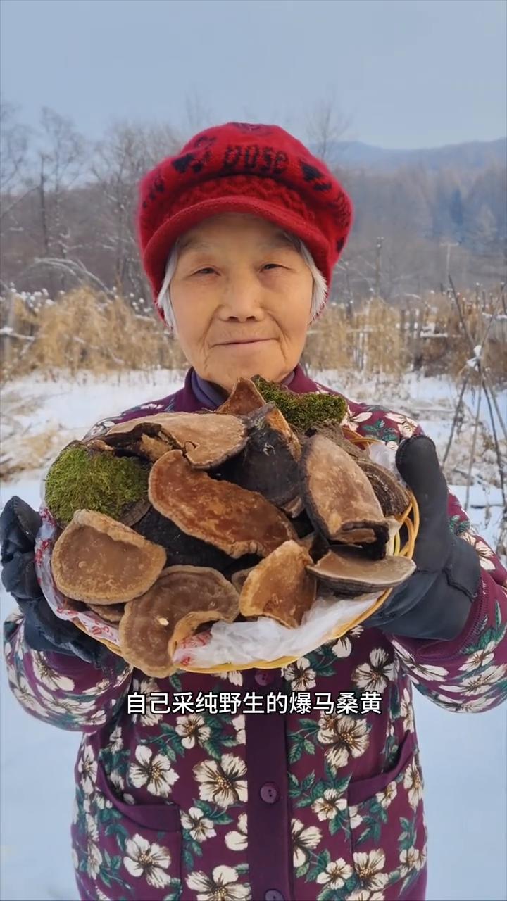 黑龙江原始大森林纯野生的桑黄。我家是小兴安岭的主脉原始大森林，这是邻居家采，自