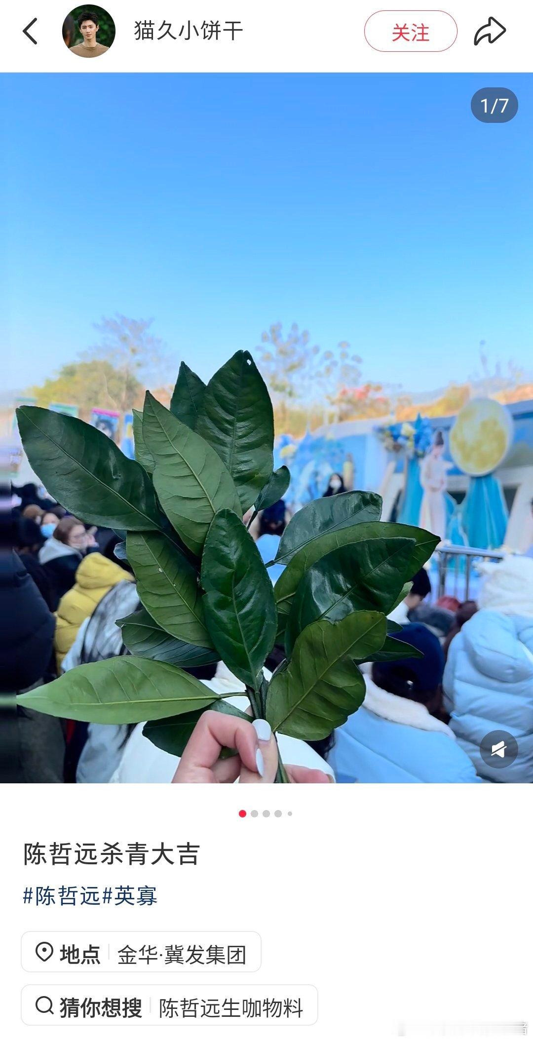 陈哲远粉丝新剧杀青应援物料真的发了柚子叶