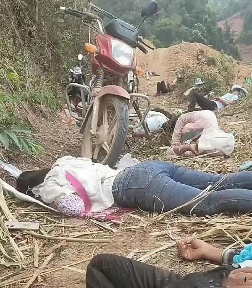 这是在睡觉还是在拍电影反正他们不是在干活