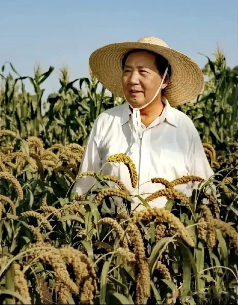 毛主席思想永远是中国进程中的宝贵财富。我们永远怀念毛主席。！正如毛主席名言，军民