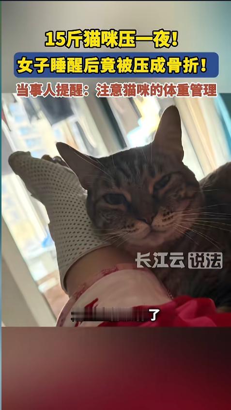 “万万没想到！”近日，江苏无锡，一女子养了只15斤重的猫，晚上被它枕着睡了一觉。