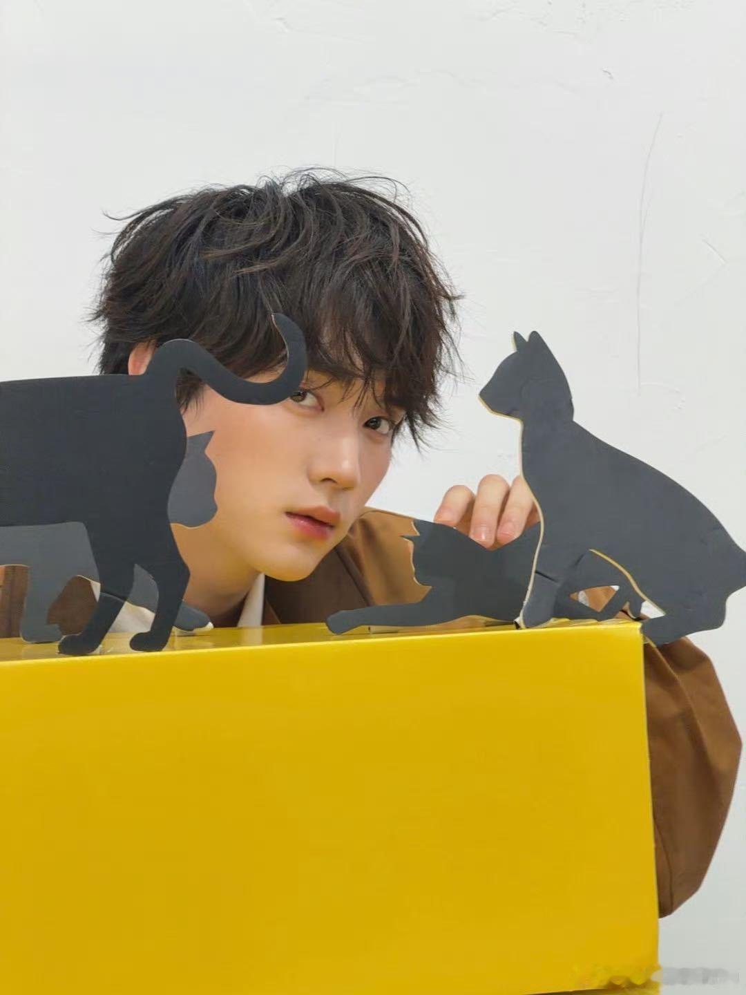 周翊然卷毛小狗周翊然直播周翊然直播换狗狗卷新风格，蓬松卷毛超减龄，可爱模样让人